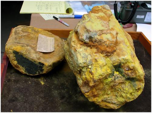 Uranium Specimens in storage at the AMNH

On the right is a 60 kg specimen of Uraninite with Schoepite from Pick’s Delta Mine, San Rafael Swell Mining District, Emery County, Utah, USA.  It is the same specimen shown in the earlier picture which featured Dr. Brian H. Mason. Just look again at that deliciously thick layer of Schoepite with some Uraninite just visible in the lower right hand corner – superb!

On the left is a 15 kg specimen of Uraninite with Schoepite from the Lookout No. 22 claim, Marshall Pass, Saguache County, Colorado, USA. Both specimens are now in storage at the AMNH (Photo courtesy of AMNH) (Author: silvia)