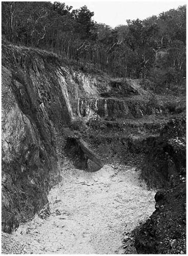 El Sherana Photo

Part of the El Sherana open cut ca. 1988. (Photo courtesy of BHP) (Author: silvia)