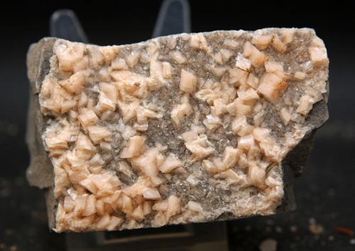 Dolomita<br />Rambla del Rollet, El Alabastre, La Cañada del Fenollar, Comarca Campo de Alicante, Alicante / Alacant, Comunidad Valenciana / Comunitat Valenciana, España<br />7 x 4.5 cm<br /> (Autor: Pedro Antonio)