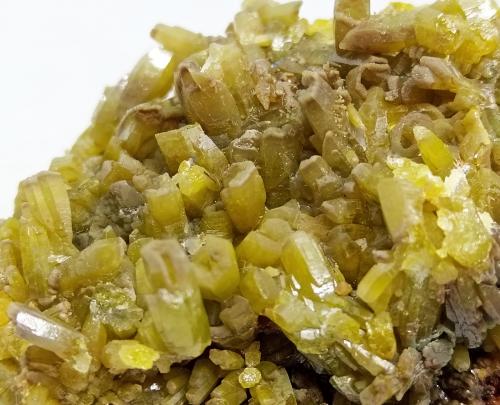 Piromorfita<br />Mina Daoping, Gongcheng, Prefectura Guilin, Región Autónoma Guangxi Zhuang, China<br />5x4.5x4 mm<br /> (Autor: Luis Edmundo Sánchez Roja)