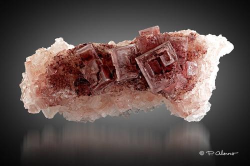 Halita<br />Lago Searles, Desierto de Mojave, Condado San Bernardino, California, USA<br />7cm x 4cm x 3cm<br /> (Autor: Pere Alonso)