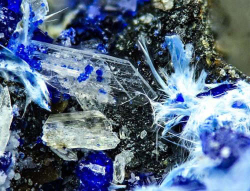 Hidromagnesita, callaghanita, Nakauriita<br />Mina Sierra Magnesite (Mina Premier Chemicals), Gabbs, Distrito Gabbs, Condado Nye, Nevada, USA<br />6 mm<br /> (Autor: Borja Sainz de Baranda)