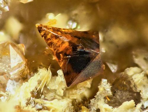 Bismutita<br />Reichenbach, Lautertal (Odenwald), Distrito Bergstraße, Darmstadt, Hesse/Hessen, Alemania<br />2 mm<br /> (Autor: Borja Sainz de Baranda)
