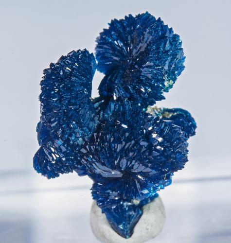 Veszelyite<br />Sanguozhuang, Distrito Dongchuan, Prefectura Kunming, Provincia Yunnan, China<br />1.6 × 1.2 × 1 cm<br /> (Author: Jordi Fabre)