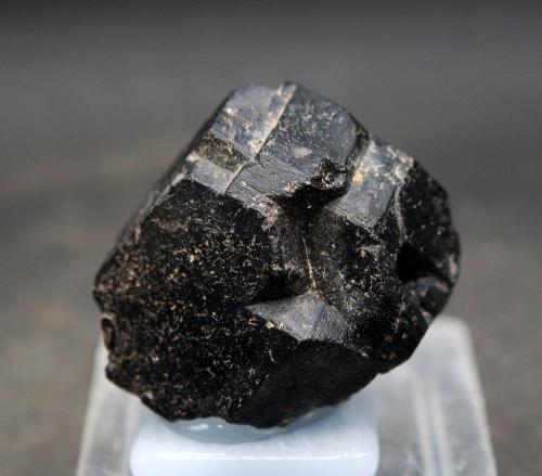 granate andradita<br />Mina San Antonio, Cehegín, Comarca Noroeste, Región de Murcia (Murcia), España<br />3.5 x 3.5 cm<br /> (Autor: Pedro Antonio)
