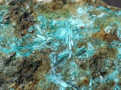 Tyrolite<br />Gratlspitze, Thierbach, Wildschönau, Distrito Kufstein, Valle Inn, Tirol Norte, Tirol, Austria<br />7,5 x 4 cm<br /> (Author: Volkmar Stingl)