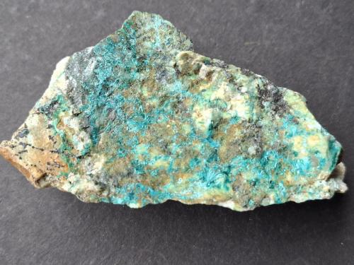 Tyrolite<br />Gratlspitze, Thierbach, Wildschönau, Distrito Kufstein, Valle Inn, Tirol Norte, Tirol, Austria<br />7,5 x 4 cm<br /> (Author: Volkmar Stingl)
