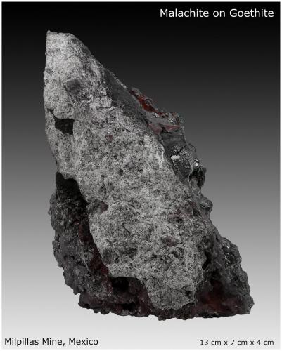 Malachite after Azurite on Goethite<br />Milpillas Mine, Cuitaca, Municipio Santa Cruz, Sonora, Mexico<br />13 cm x 7 cm x 4 cm<br /> (Author: silvia)
