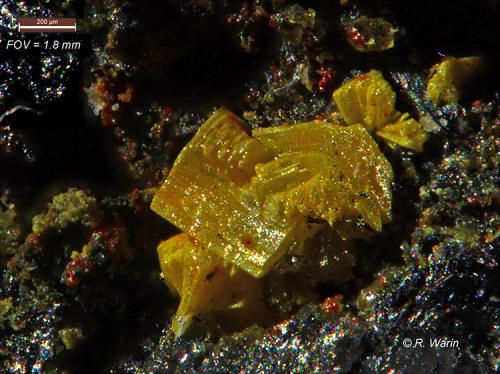 Valentinite<br />Mina Antimonmine Goesdorf, Goesdorf, Cantón Wiltz, Luxemburgo<br />< 1 mm<br /> (Author: Roger Warin)