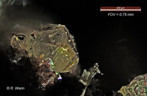 Senarmontite<br />Mina Antimonmine Goesdorf, Goesdorf, Cantón Wiltz, Luxemburgo<br />< 1 mm<br /> (Author: Roger Warin)