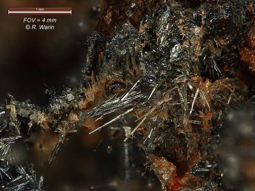 Stibnite<br />Antimonmine Goesdorf Mine, Goesdorf, Wiltz Canton, Luxembourg<br />< 1 mm<br /> (Author: Roger Warin)