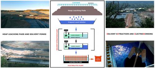COPPER RECOVER AND COPPER RICH SOLUTION

The images on the left showcase the heap leach pads, equipped with a sprinkler system, and the associated collection ponds containing the leached Copper solution. In the center, a simplified diagram illustrates the Copper extraction process. The upper photo on the right displays the solvent extraction plant (left) and the electrolytic plant (right). Finally, the bottom right-hand photo captures a Copper-rich solution just before it enters the second phase (stripping) at the solvent extraction plant – notice the stirrer assembly.

The heart of the hydrometallurgical process at Milpillas was heap leaching. On specially constructed, impermeable pads, the crushed ore was irrigated with a dilute sulfuric acid solution, known as the lixiviant. As the acid solution percolated through the ore pile, it selectively dissolved the Copper minerals, forming a Copper-rich solution called the pregnant leach solution (PLS). The efficiency of this stage depended on several factors, including the permeability of the ore heap, the concentration of the acid, and the contact time between the lixiviant and the Copper minerals. The Milpillas mine specifically targeted soluble Copper minerals, making heap leaching an ideal and cost-effective method for their extraction.

Following the leaching process, the pregnant leach solution, now laden with dissolved Copper, was directed to the solvent extraction (SX) plant. Solvent extraction is a purification and concentration step. In this stage, the PLS is mixed with an organic based solvent (i.e., alkyl Salicylaldoximes), which have a strong affinity for Copper ions. The Copper ions transfer from the aqueous PLS to the organic phase, leaving behind impurities in the aqueous phase now called the  raffinate. This process effectively separates Copper from other undesirable elements that might have been leached from the ore. After the Copper is loaded into the organic solvent, the loaded organic phase is then stripped with a strong sulfuric acid solution, which reverses the process, transferring the concentrated Copper ions back into an aqueous solution. This resulting highly purified and concentrated Copper solution is known as the electrolyte. The final electrolytic cells then deposited high-purity Copper onto cathodes, a process that relied on a consistent and clean electrolyte composition to achieve "Grade A cathodic Copper."  

Original photos courtesy of Jose Vazquez, diagram by Silvia. (Author: silvia)