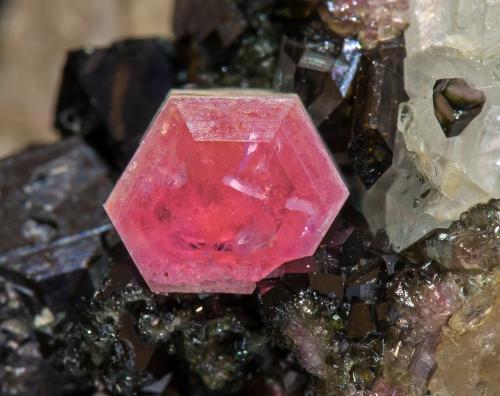 Pezzottaite with Schorl and Quartz<br />Sakavalana Mine, Ambatovita, Mandrosonoro, Ambatofinandrahana District, Amoron'i Mania Region, Madagascar<br />main crystal size: 0.6 × 0.6 cm<br /> (Author: Jordi Fabre)