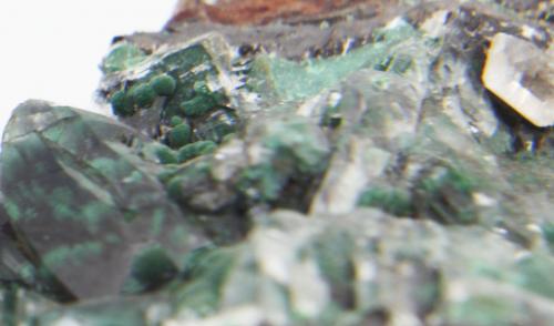 Conicalcita<br />Mina Ojuela, Mapimí, Municipio Mapimí, Durango, México<br />85x7x6 mm<br /> (Autor: Luis Edmundo Sánchez Roja)