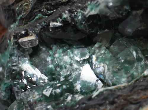 Conicalcita<br />Mina Ojuela, Mapimí, Municipio Mapimí, Durango, México<br />85x7x6 mm<br /> (Autor: Luis Edmundo Sánchez Roja)