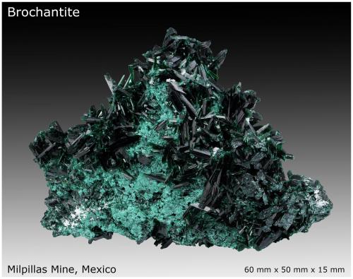 Brochantite<br />Mina Milpillas, Cuitaca, Municipio Santa Cruz, Sonora, México<br />60 mm x 50 mm x 15 mm<br /> (Author: silvia)