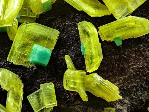 Saléeita, metatorbernita<br />Intermedia-María Lozano Mine, Hoya del Lobo, La Haba, Comarca La Serena, Badajoz, Extremadura, Spain<br />5 mm<br /> (Autor: Borja Sainz de Baranda)