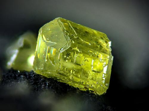 Azufre<br />Cáucaso Mine, Conil Mines, Conil de la Frontera, Comarca La Janda, Cádiz, Andalusia, Spain<br />2 mm<br /> (Autor: Borja Sainz de Baranda)