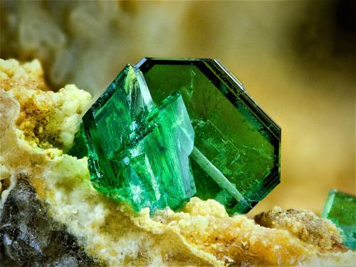 Torbernita<br />La Virgen Mine, Andújar, Comarca de la Campiña, Jaén, Andalusia, Spain<br />3 mm<br /> (Autor: Borja Sainz de Baranda)