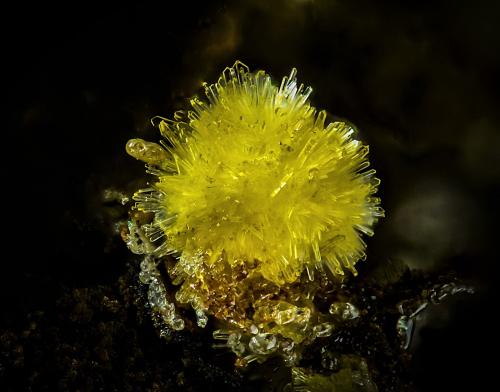 Sideronatrita<br />La Ferruginosa Mine, Cabezo de la Escucha, Cartagena, Comarca Campo de Cartagena, Region of Murcia (Murcia), Spain<br />3 mm<br /> (Autor: Borja Sainz de Baranda)