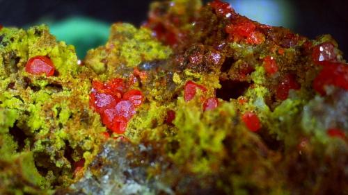 Wulfenite, Pyromorphite<br />Sortuz, Balkhash District, Karaganda Region, Kazakhstan<br />ca. 1 cm wide<br /> (Author: Volkmar Stingl)