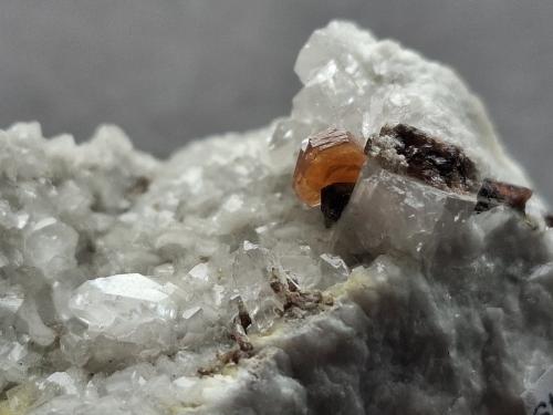 Hydroxylbastnäsite-(Ce), Allanite-(Ce)<br />Mina Trimouns, Luzenac, Haute-Ariège, Foix, Departamento Ariège, Occitanie, Francia<br />FoV ca. 2 x 1,5 cm<br /> (Author: Volkmar Stingl)