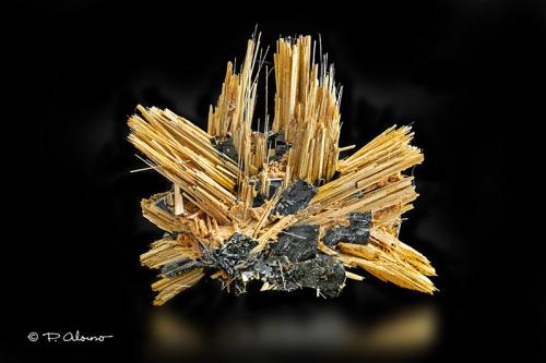 Rutilo, Hematites<br />Novo Horizonte, Bahia, Northeast Region, Brazil<br />2cm x 1,5cm x 0,5cm<br /> (Autor: Pere Alonso)