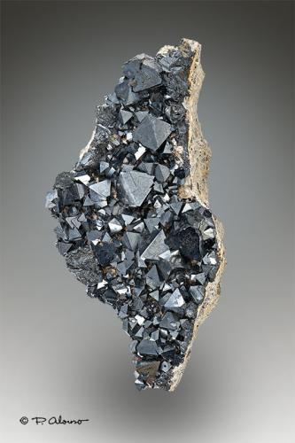 Magnetita<br />México<br />8cm x 4,5cm x 2,5cm<br /> (Autor: Pere Alonso)