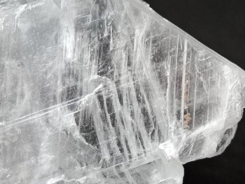 Yeso (variedad selenita)<br />Laguna del Rey, Municipio Ocampo, Coahuila (Coahuila de Zaragoza), México<br />120x55x30 mm<br /> (Autor: Luis Edmundo Sánchez Roja)
