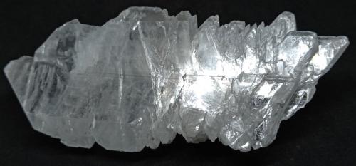 Yeso (variedad selenita)<br />Laguna del Rey, Municipio Ocampo, Coahuila (Coahuila de Zaragoza), México<br />120x55x30 mm<br /> (Autor: Luis Edmundo Sánchez Roja)