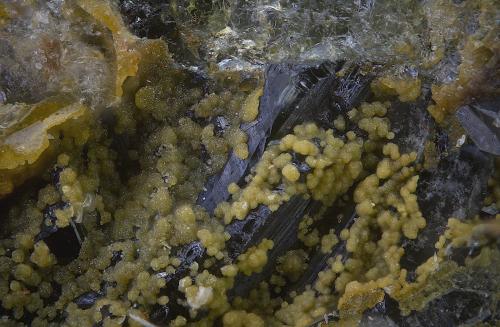 Escorodita sobre turmalina.<br />Mina San Antonio, Los Llanos de Villaralto, Villaralto, Comarca Los Pedroches, Córdoba, Andalucía, España<br />Campo de visión de  3 mm.<br /> (Autor: Antonio Carmona)