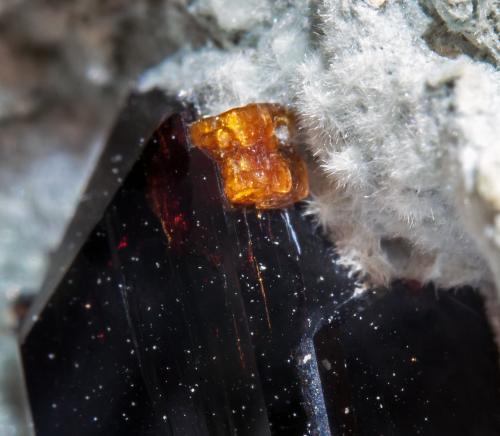 Joaquinite-(Ce) on Neptunite and with Benitoite and Natrolite<br />California State Gem Mine (Benitoite Gem Mine), San Benito River headwaters area, Santa Rita Peak, New Idria District, San Benito County, California, USA<br />main crystal: 2 × 0.6 cm<br /> (Author: Jordi Fabre)