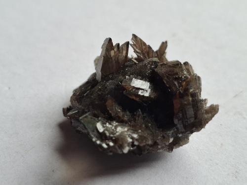 Axinite-(Mn)<br />Dalnegorsk, Dalnegorsk Urban District, Primorsky Krai, Russia<br />2,5 x 2,3 cm<br /> (Author: Volkmar Stingl)