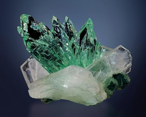 Fluorapofilita-(K)<br />Distrito Jalgaon, Maharashtra, India<br />30 x 20 mm<br /> (Autor: Borja Sainz de Baranda)