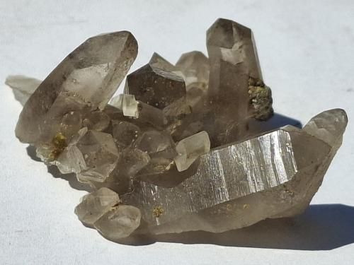 Bertrandite, Quartz (variety smokey quartz)<br />Kara-Oba, Betpak-Dala (Bet-Pak-Dala) Desert, Karaganda Region, Kazakhstan<br />5,5 x 4 cm<br /> (Author: Volkmar Stingl)