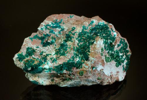 Dioptase<br />Renéville, Kindanba District, Pool Department, Republic of the Congo<br />9.2 x 5.7 x 3.7 cm<br /> (Author: Michael Shaw)