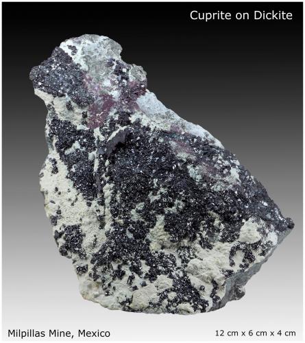 Cuprite<br />Milpillas Mine, Cuitaca, Municipio Santa Cruz, Sonora, Mexico<br />12 cm x 6 cm x 4 cm<br /> (Author: silvia)