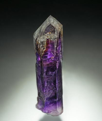Quartz (variety amethyst)<br />Goboboseb Mountains, Brandberg area, Erongo Region, Namibia<br />7.6 x 1.9 cm<br /> (Author: am mizunaka)