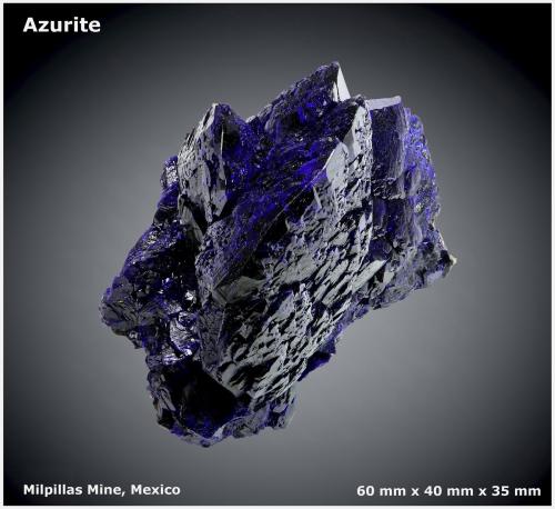 Azurite<br />Milpillas Mine, Cuitaca, Municipio Santa Cruz, Sonora, Mexico<br />60 mm x 40 mm x 35 mm<br /> (Author: silvia)