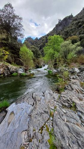 Pizarras negras homogéneas de la formación rodada en la margen derecha del Río Jaramilla. (Autor: supertxango)