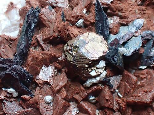 Calcopirita, dolomita, siderita<br />Regia Antigua Mine, Bellmunt del Priorat, Comarca Priorat, Tarragona, Catalonia / Catalunya, Spain<br />Cristal de calcopirita 0,3x0,3 cm<br /> (Autor: Frederic Varela)