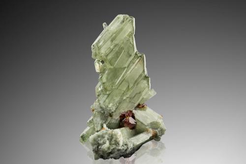 Diopside with Grossular (variety hessonite)<br />Testa Ciarva, Balme, Val d'Ala, Valles Lanzo (Valli di Lanzo), Provincia Ciudad metropolitana de Turín, Piamonte (Piemonte), Italia<br />3.5 x 5 x 8 cm / main crystal: 5.1 cm.<br /> (Author: MIM Museum)