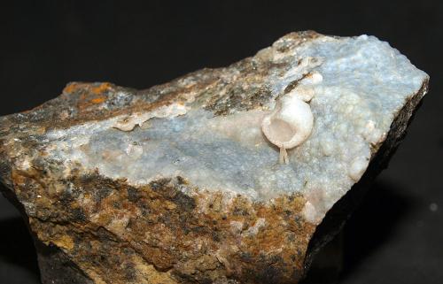 Cuarzo (variedad calcedonia) y clinoptilolita<br />Volcán Cabezo Negro de Zeneta, Murcia, Comarca Huerta de Murcia, Región de Murcia (Murcia), España<br />7.5 x 5 cm<br /> (Autor: Pedro Antonio)