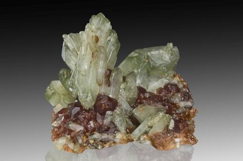 Diópsido en Grossularia (variedad hessonita)<br />Testa Ciarva, Balme, Val d'Ala, Valles Lanzo (Valli di Lanzo), Provincia Ciudad metropolitana de Turín, Piamonte (Piemonte), Italia<br />7 x 6 x 5 cm / Cristal principal: 4.3 cm.<br /> (Autor: Museo MIM)