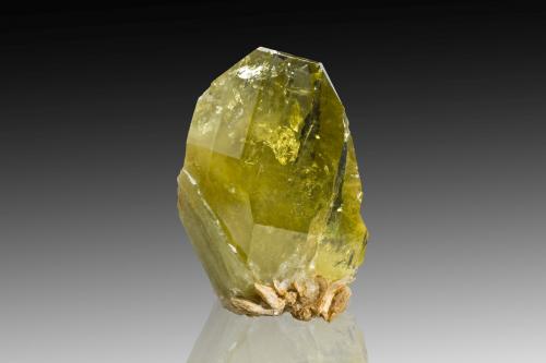 Brasilianita con Mica (Grupo)<br />Mina Córrego Frio, Linópolis, Divino das Laranjeiras, Vale do Rio Doce, Minas Gerais, Brasil<br />5 x 4 x 7.5 cm / Cristal principal: 7.2 cm<br /> (Autor: Museo MIM)