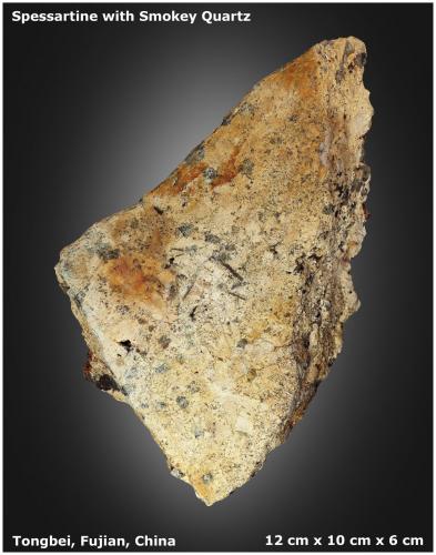 Spessartine and Smoky Quartz<br />Wushan Spessartine prospects, Tongbei, Yunxiao, Zhangzhou Prefecture, Fujian Province, China<br />12 cm x 10 cm x 6 cm<br /> (Author: silvia)