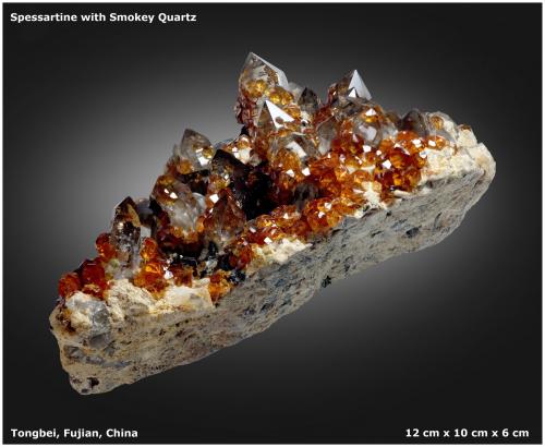 Spessartine and Smoky Quartz<br />Wushan Spessartine prospects, Tongbei, Yunxiao, Zhangzhou Prefecture, Fujian Province, China<br />12 cm x 10 cm x 6 cm<br /> (Author: silvia)