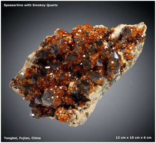 Spessartine and Smoky Quartz<br />Wushan Spessartine prospects, Tongbei, Yunxiao, Zhangzhou Prefecture, Fujian Province, China<br />12 cm x 10 cm x 6 cm<br /> (Author: silvia)