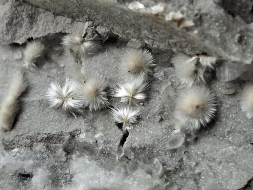 Dawsonite<br />Siele Mine, Amiata Mountain, Piancastagnaio, Siena Province, Tuscany, Italy<br />FoV ca. 2 x 1,5 cm<br /> (Author: Volkmar Stingl)