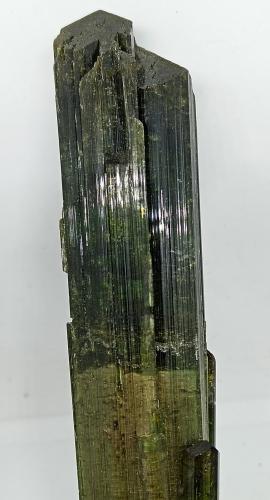 Elbaita (variedad verdelita)<br />Mina Santa Rosa, Itambacuri, Vale do Rio Doce, Minas Gerais, Brasil<br />100x20x20 mm.<br /> (Autor: Luis Edmundo Sánchez Roja)